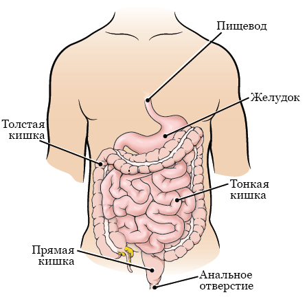 Баланс состоит из двух частей которые называются