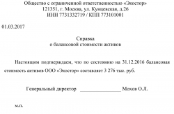Справка об отсутствии имущества на балансе образец