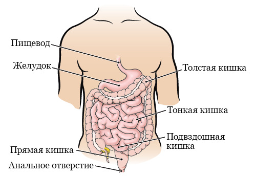 Как восстановить бухгалтерский учет самостоятельно