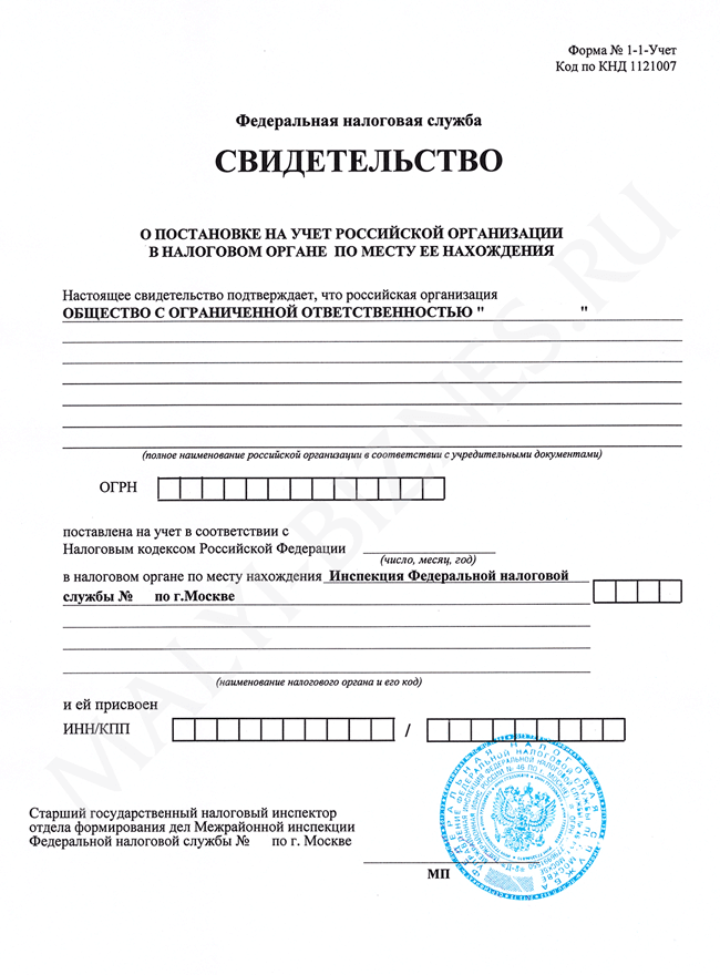 Свидетельство инн ООО образец