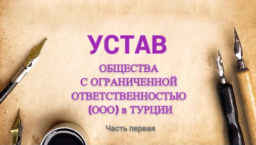 Устав микрофинансовой организации в форме ООО
